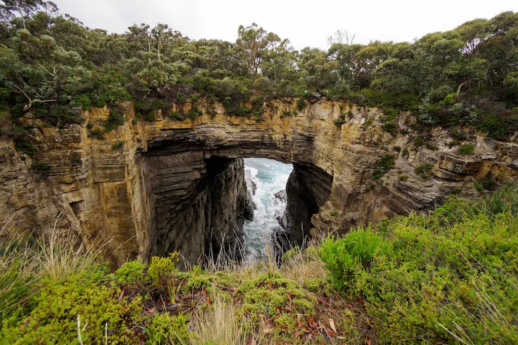 Day 3: Pirate Bay and Tasman Arch